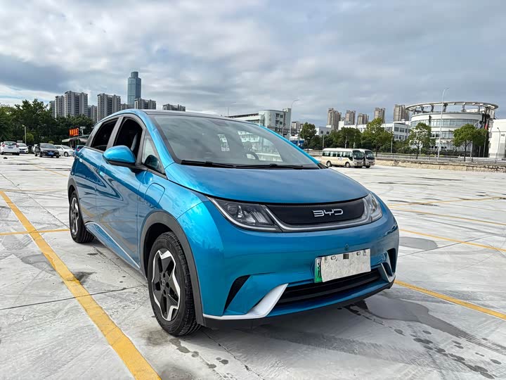 Фото 3 - BYD Dolphin