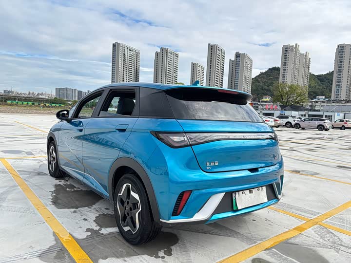 Фото 4 - BYD Dolphin