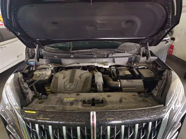 Фото 20 - Hongqi HS3