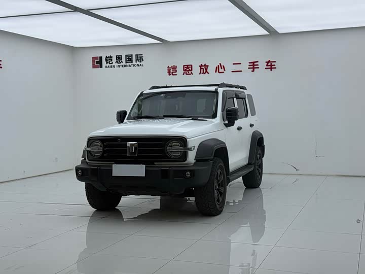 Фото 2 - Tank 300