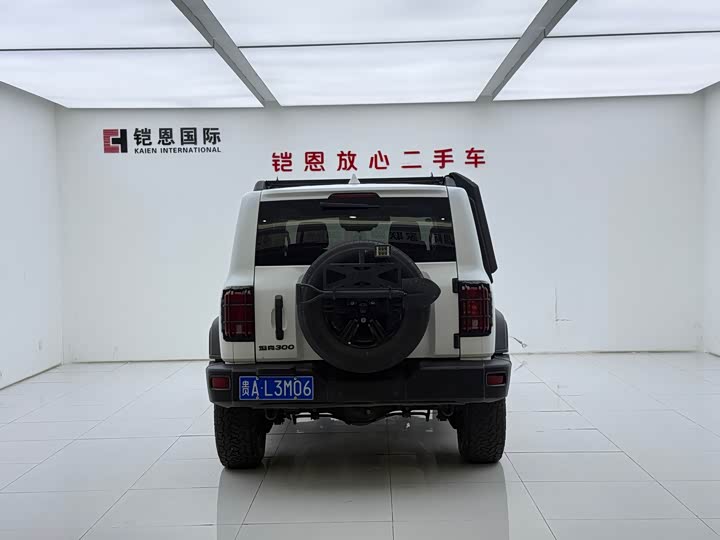 Фото 6 - Tank 300