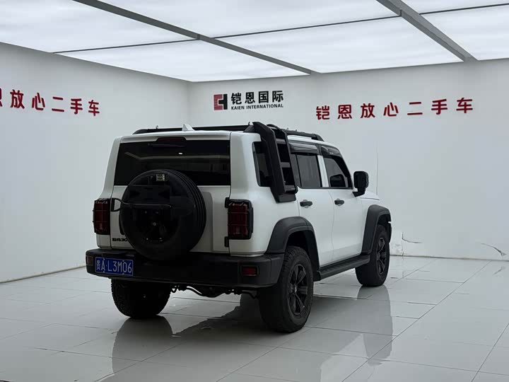 Фото 7 - Tank 300