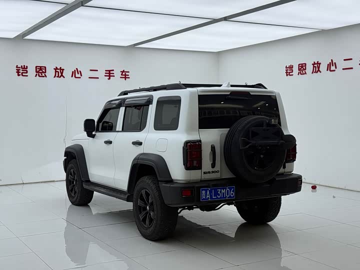 Фото 8 - Tank 300