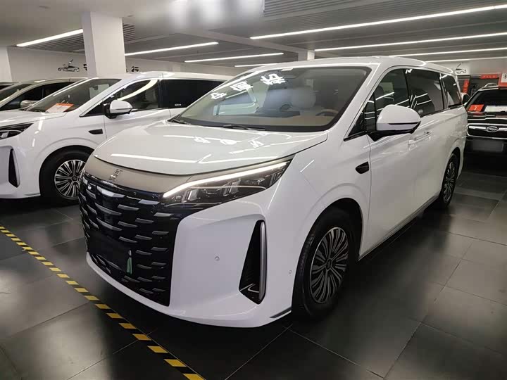 Фото 1 - BYD Xia