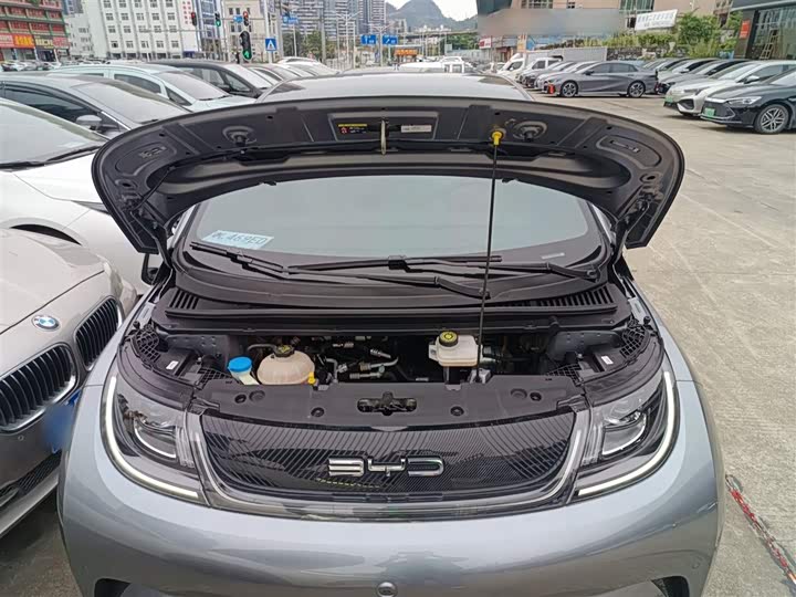 Фото 20 - BYD Dolphin