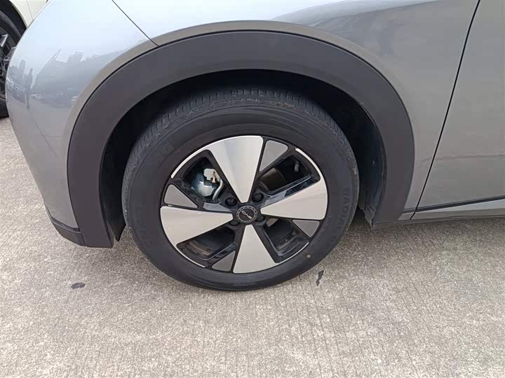 Фото 23 - BYD Dolphin