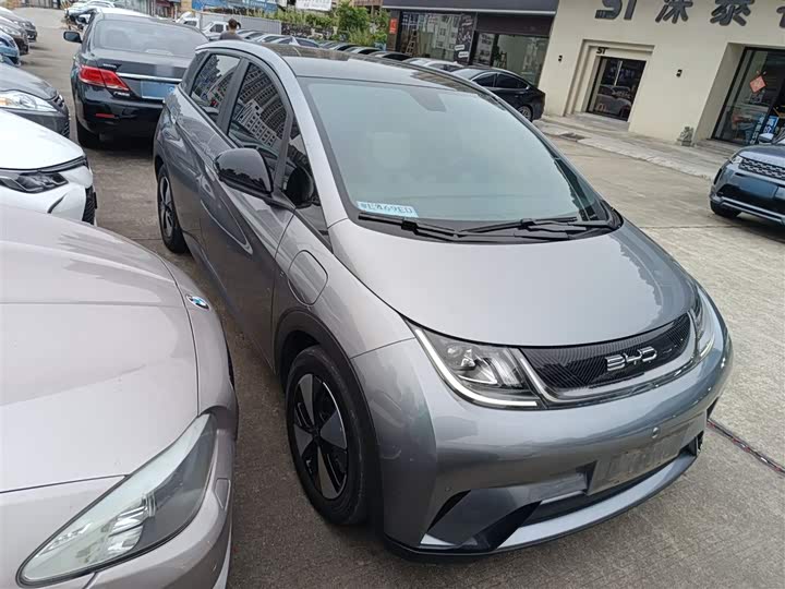 Фото 4 - BYD Dolphin