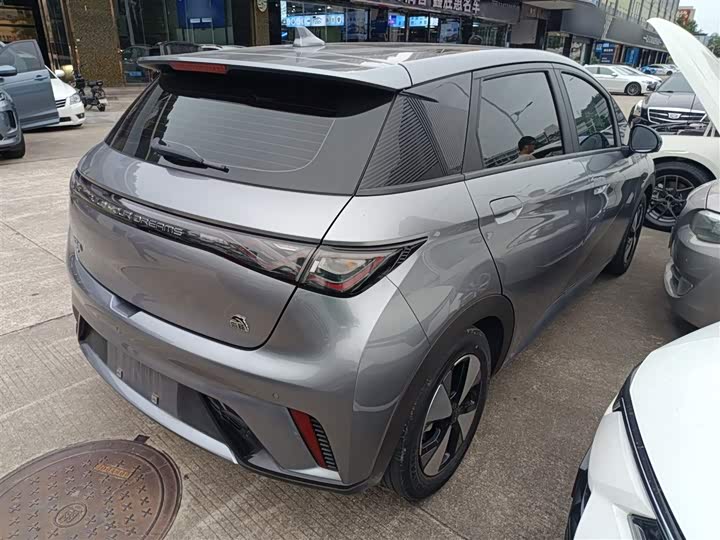 Фото 7 - BYD Dolphin