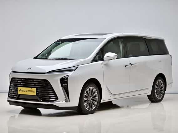 Фото 1 - Buick GL8 ES