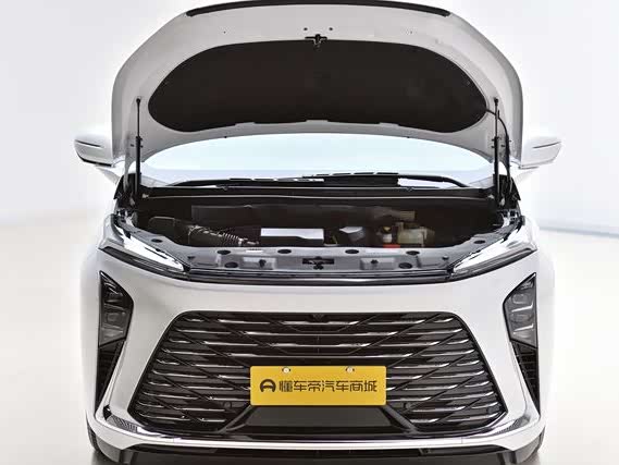 Фото 10 - Buick GL8 ES