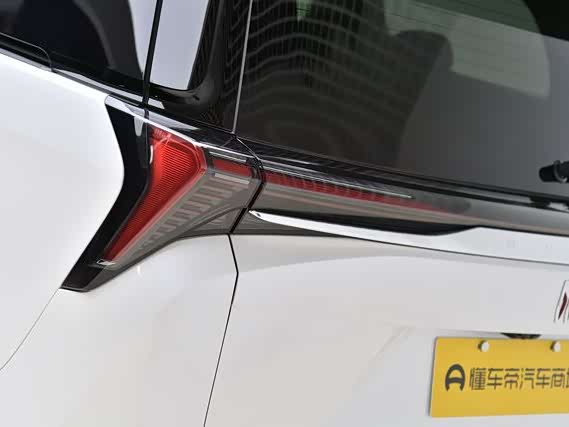 Фото 16 - Buick GL8 ES