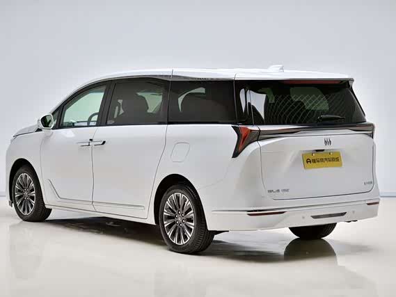 Фото 18 - Buick GL8 ES