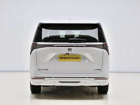 Фото 19 - Buick GL8 ES