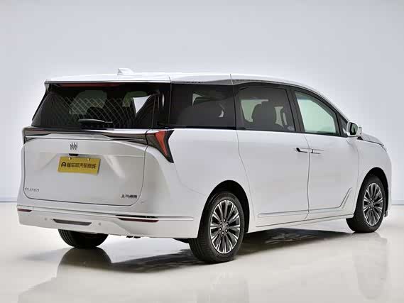 Фото 20 - Buick GL8 ES