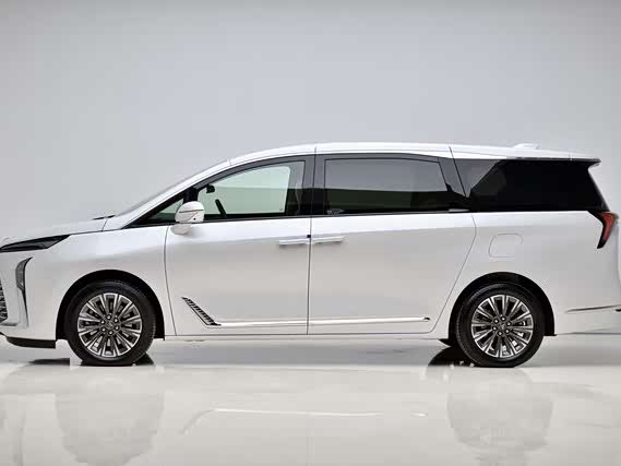 Фото 4 - Buick GL8 ES