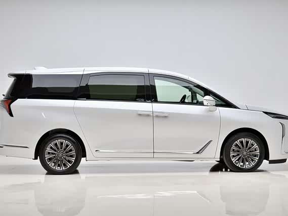 Фото 5 - Buick GL8 ES