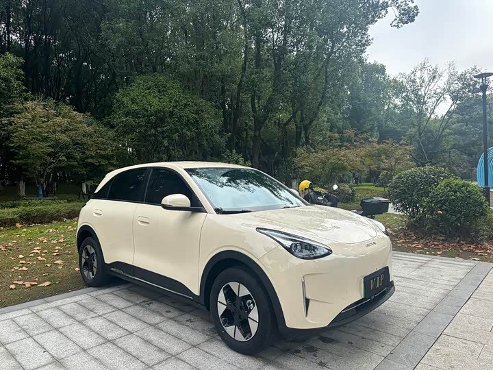 Фото 1 - Geely Galaxy Geome