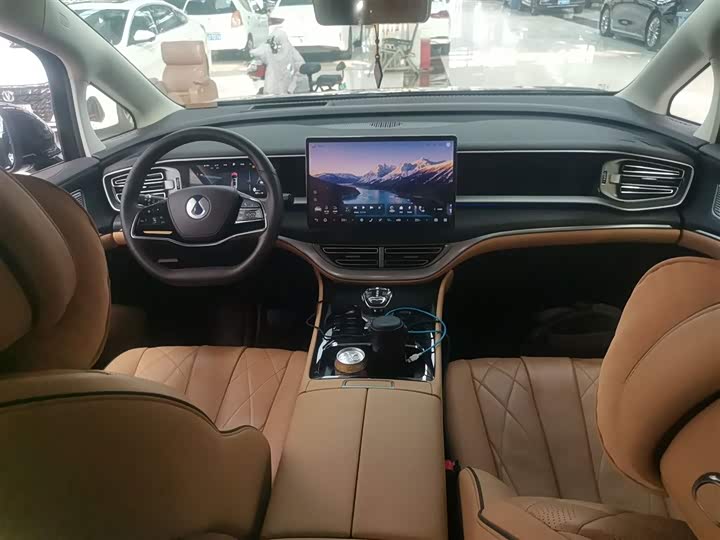 Фото 10 - Denza D9