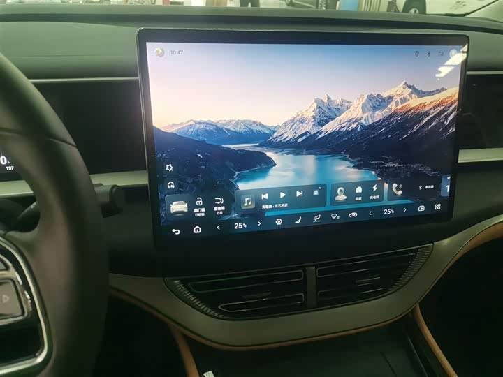 Фото 13 - Denza D9