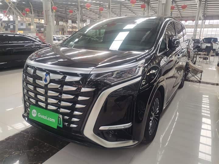 Фото 2 - Denza D9