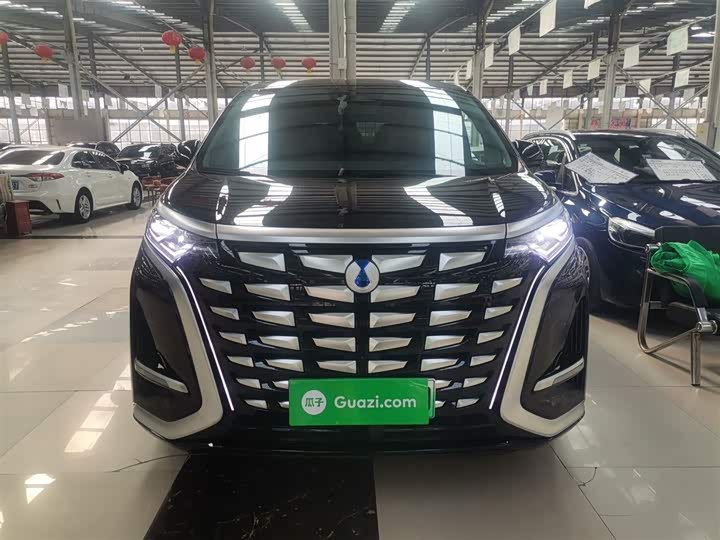 Фото 3 - Denza D9