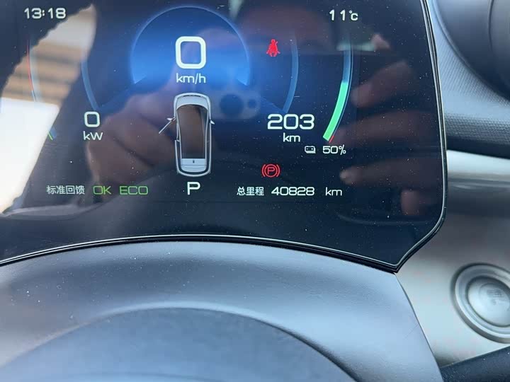 Фото 12 - BYD Dolphin