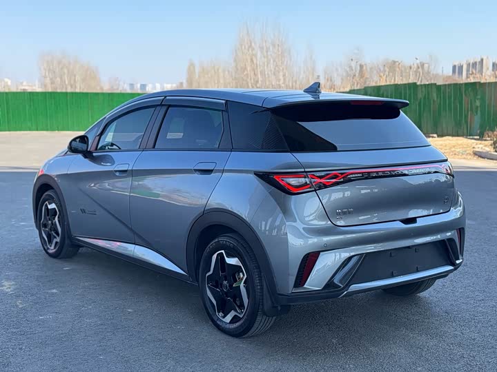 Фото 5 - BYD Dolphin