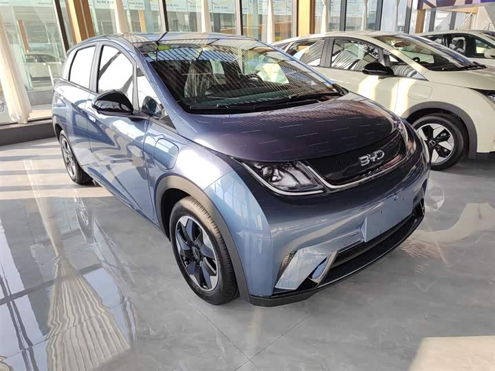 Фото 4 - BYD Dolphin