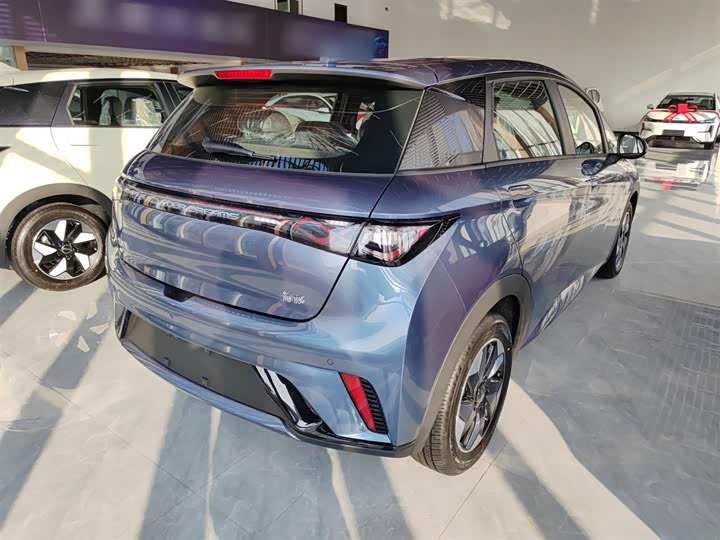 Фото 7 - BYD Dolphin