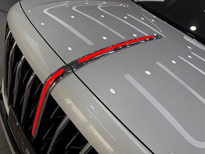 Фото 13 - Hongqi HS3 Hybrid