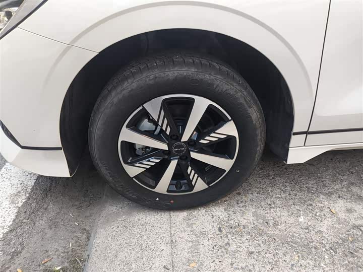 Фото 22 - BYD E2