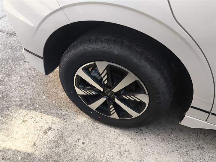 Фото 25 - BYD E2