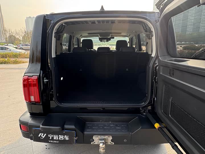 Фото 18 - Tank 300