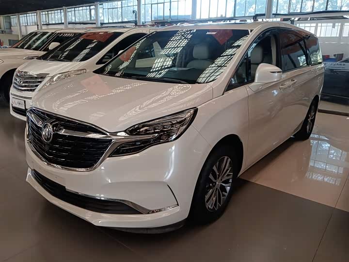 Фото 1 - Buick GL8 ES