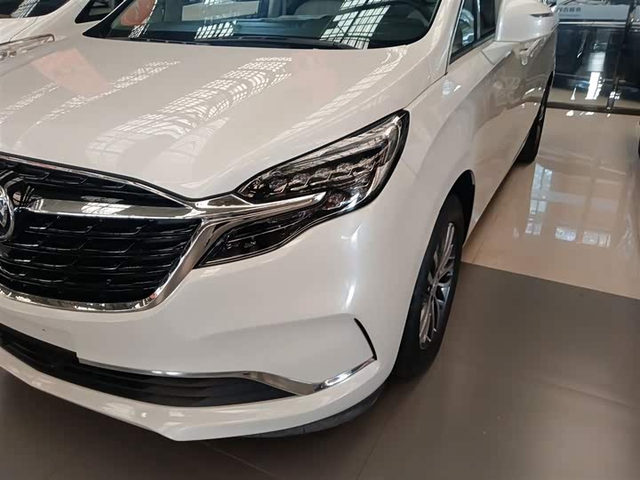 Фото 24 - Buick GL8 ES