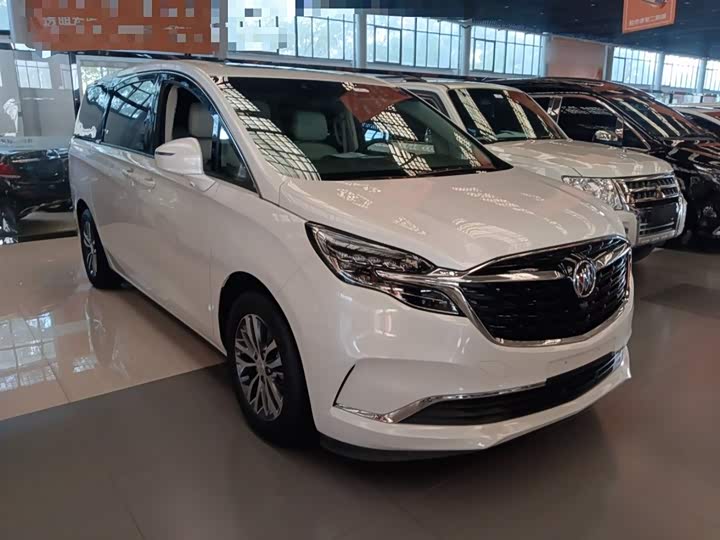 Фото 4 - Buick GL8 ES