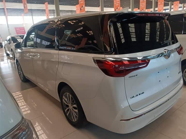 Фото 5 - Buick GL8 ES