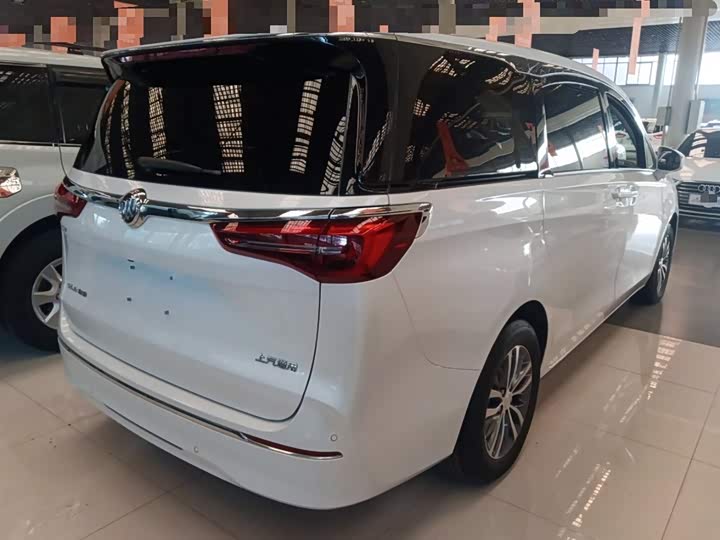 Фото 7 - Buick GL8 ES