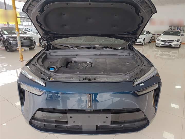 Фото 20 - Wey Lanshan