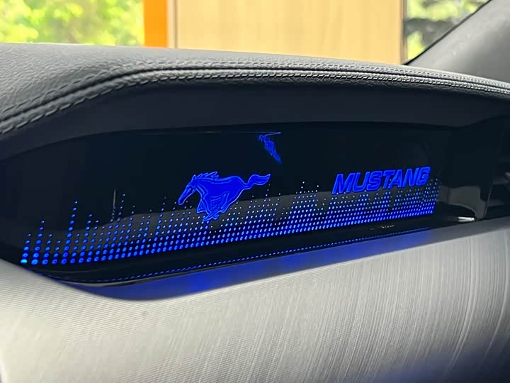 Фото 16 - Ford Mustang