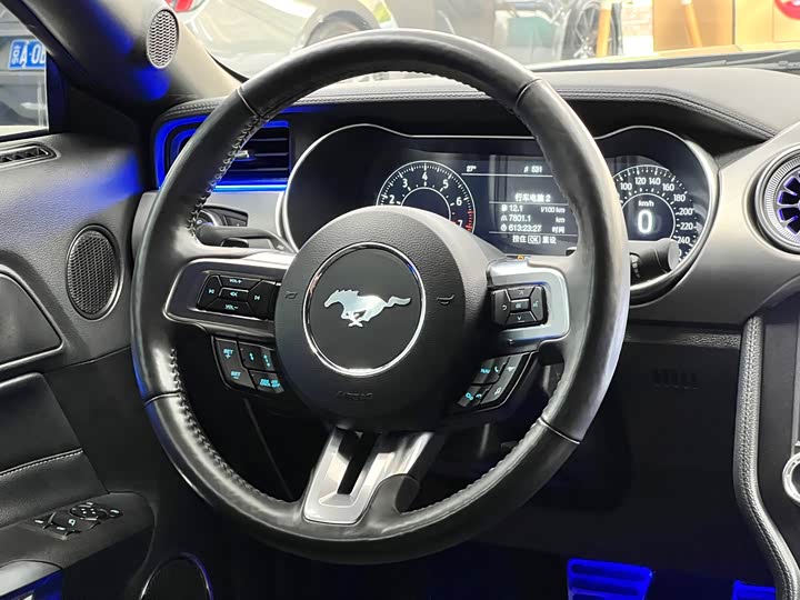 Фото 22 - Ford Mustang