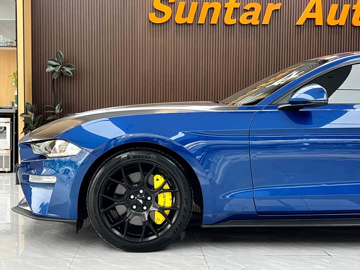 Фото 9 - Ford Mustang