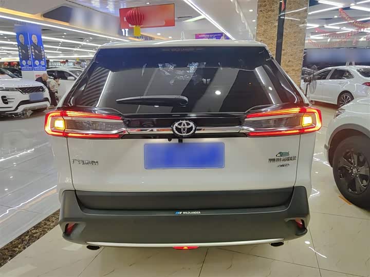 Фото 6 - Toyota Wildlander