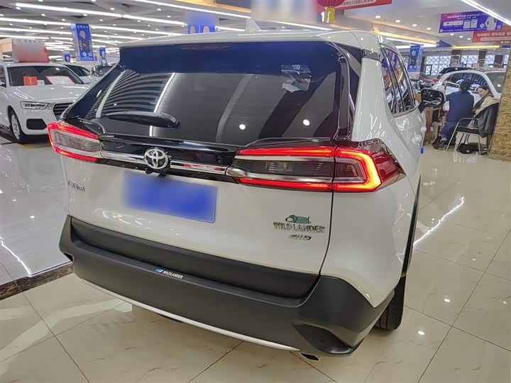Фото 7 - Toyota Wildlander