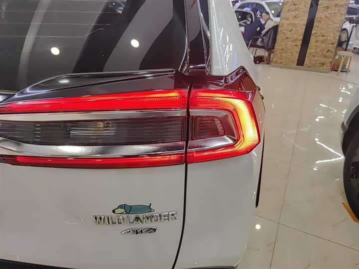 Фото 8 - Toyota Wildlander