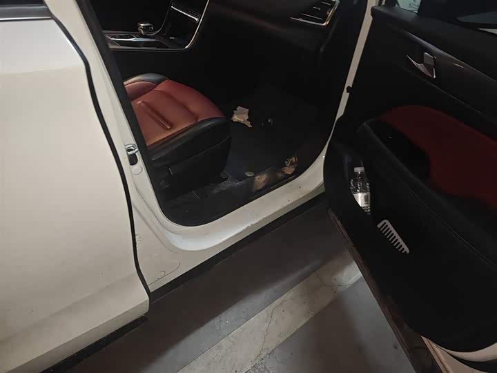 Фото 20 - GAC Trumpchi GS4 Plus