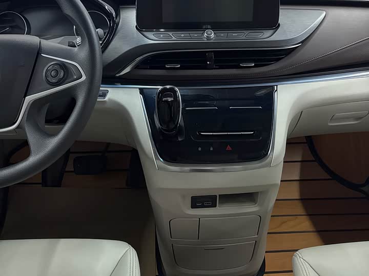 Фото 9 - Buick GL8 ES