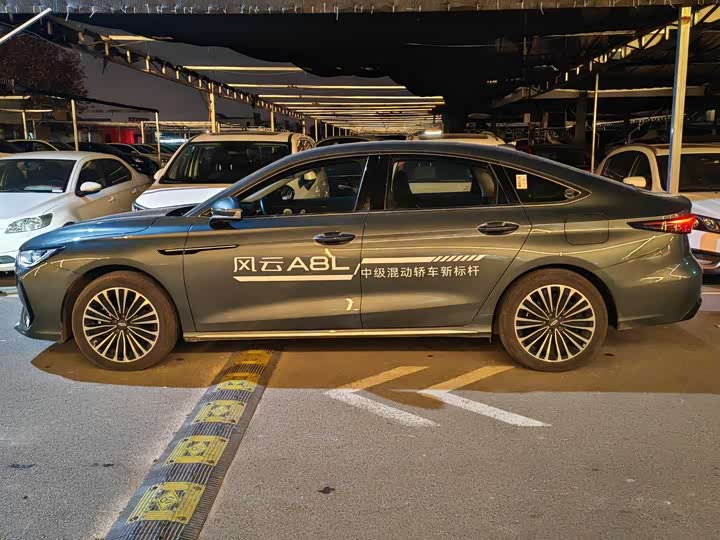 Фото 8 - Chery Fulwin A8L