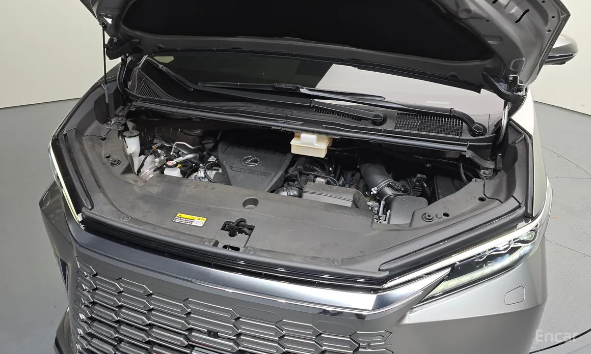 Фото 6 - Lexus LM