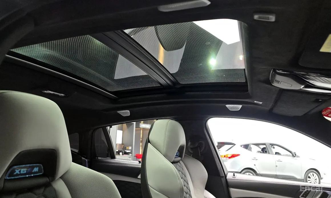 Фото 19 - BMW X6 M